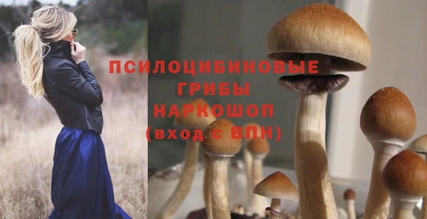прущая мука Беломорск